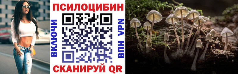 Купить закладки  Чебоксары  Псилоцибиновые грибы Psilocybine cubensis 